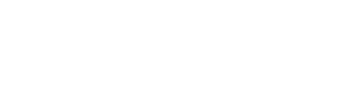 TOWA APF-60 Logo